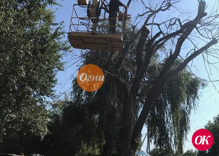 На улицах Кропоткина кронируют деревья