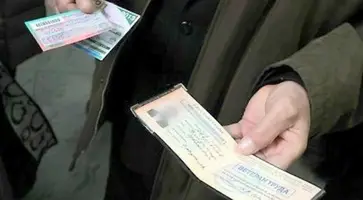 https://ognikubani.ru/wp-content/uploads/2021/12/ognikubani.ru-4