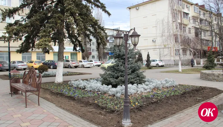Февраль не помеха озеленителям