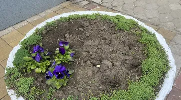 2a936138-c578-420f-99af-3f340b5539c1