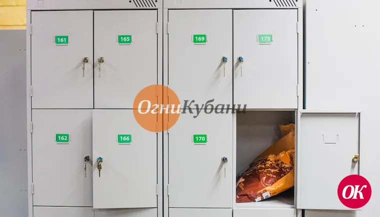 Ранее судимая женщина в магазине украла пакет из ячейки для ручной клади