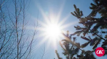 Сегодня День зимнего солнцестояния