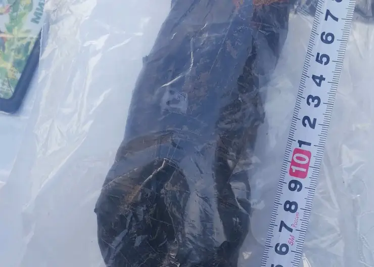 https://ognikubani.ru/wp-content/uploads/2022/03/ognikubani.ru-17-2