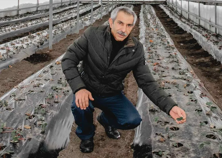 https://ognikubani.ru/wp-content/uploads/2021/02/ognikubani.ru-23
