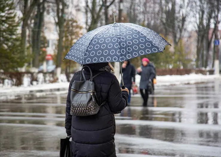 https://ognikubani.ru/wp-content/uploads/2021/03/dozhd_8