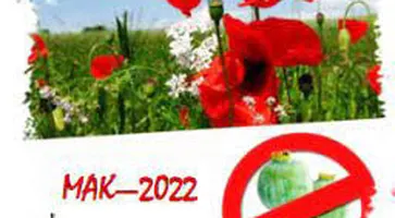 https://ognikubani.ru/wp-content/uploads/2022/08/мак-22-1