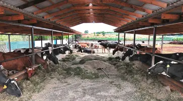 https://ognikubani.ru/wp-content/uploads/2021/11/ognikubani.ru-20