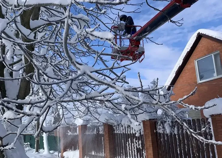 photo_2026-01-12_09-57-26