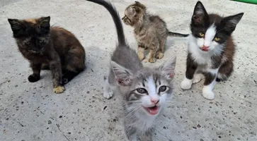 WhatsApp Image 2025-06-21 at 16.17.27 (2)