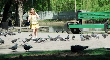 https://ognikubani.ru/wp-content/uploads/2020/06/ccffe8bb8ad05939e030918b62797732-2