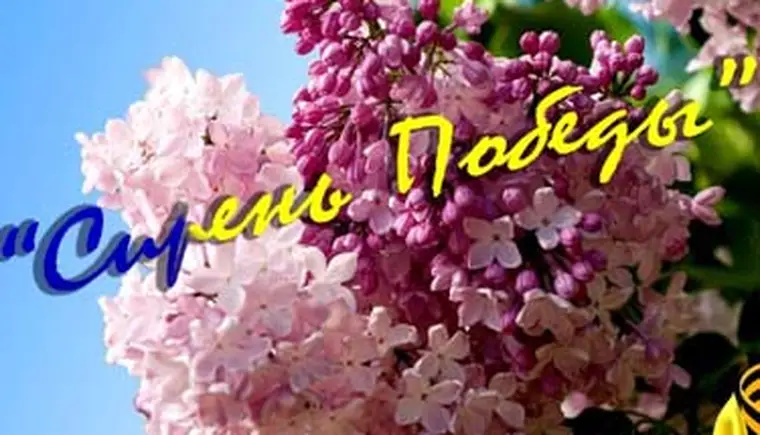 http://www.ognikuban.tw1.ru/wp-content/uploads/2015/05/siren1