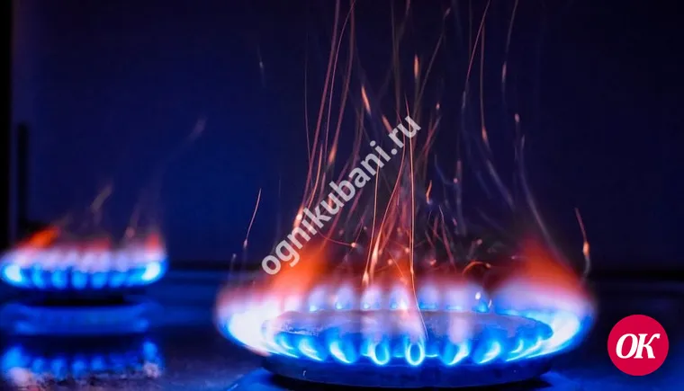 По счастливой случайности дети остались живы