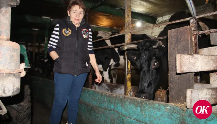 В Краснодарском крае каждую третью субботу февраля отмечают День животновода