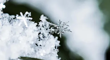 https://ognikubani.ru/wp-content/uploads/2021/02/ognikubani.ru-23-1