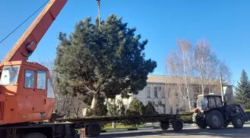 photo_2024-12-04_16-21-16