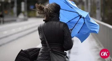 Сильный ветер ожидается на Кубани