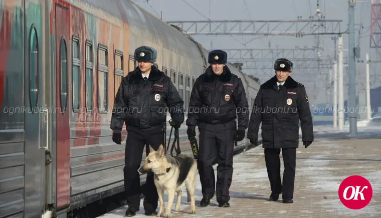 Сотрудники транспортной полиции привлекли к административной ответственности пассажира