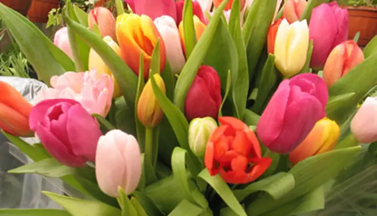 http://www.ognikuban.tw1.ru/wp-content/uploads/2017/03/dasket_wflowers_1zz