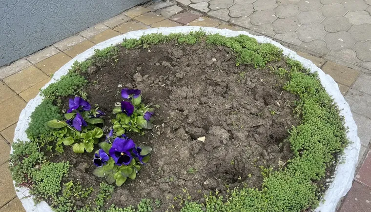 2a936138-c578-420f-99af-3f340b5539c1