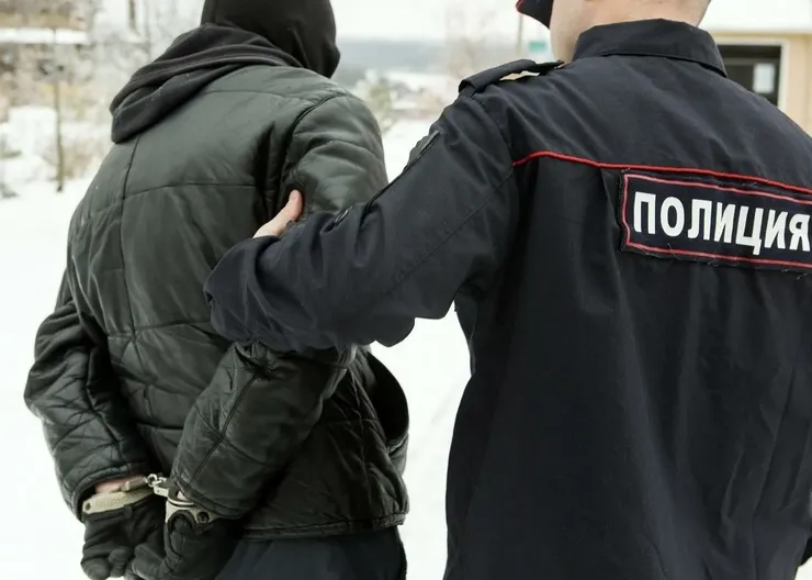 полиция задержала
