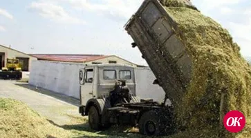 Животноводы района заготовили кормов на порядок больше