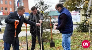 В Кропоткине пополняют зеленые зоны новыми саженцами