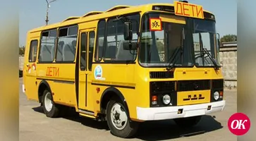 Требуется водитель школьного автобуса