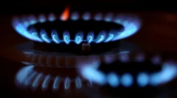 https://ognikubani.ru/wp-content/uploads/2022/01/ognikubani.ru-3-7