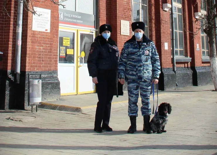 https://ognikubani.ru/wp-content/uploads/2021/02/ognikubani.ru-14