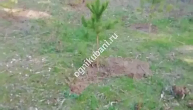 https://ognikubani.ru/wp-content/uploads/2019/10/WhatsApp-Image-2019-10-28-at-09.05.37