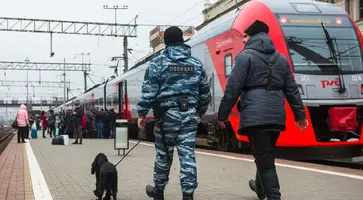 https://ognikubani.ru/wp-content/uploads/2020/03/dsc_29522__n7rpvkh