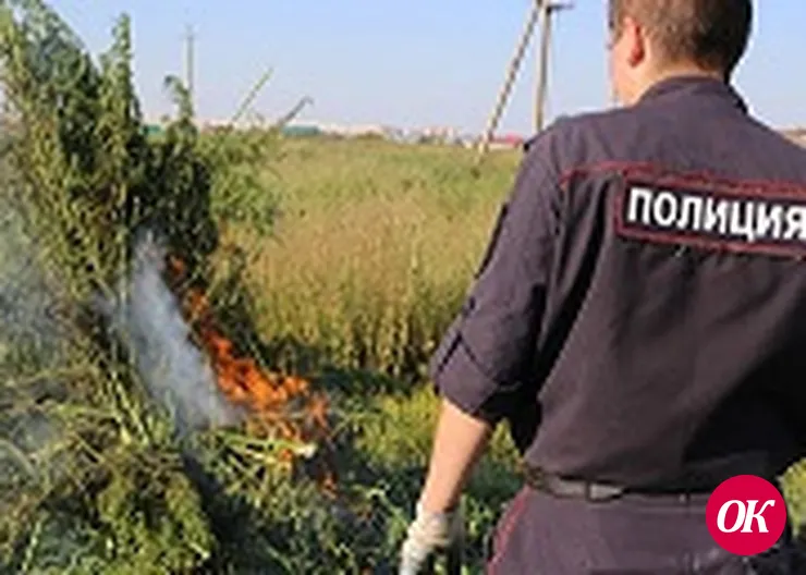Правоохранители выявили и изъяли около 165 граммов марихуаны.