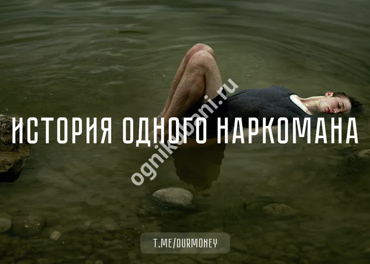 https://ognikubani.ru/wp-content/uploads/2019/11/70af5d6a873132d364f82