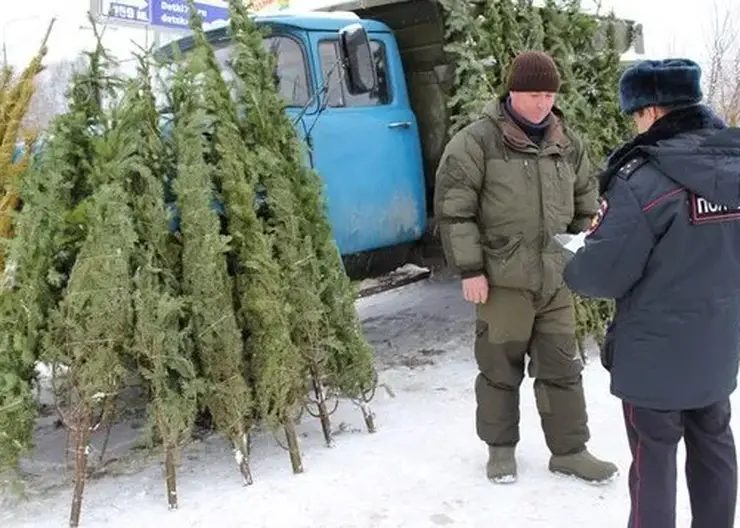 Ель