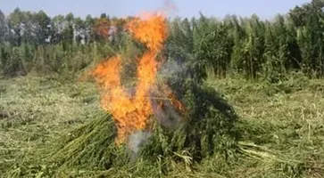 http://www.ognikuban.tw1.ru/wp-content/uploads/2017/09/zgliii_retyui22214i
