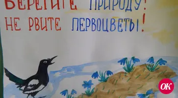 Ландыши, подснежники, цикламены — под защитой