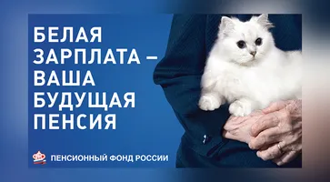 https://ognikubani.ru/wp-content/uploads/2022/10/bel_945_3