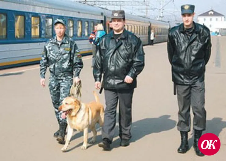 Содействие