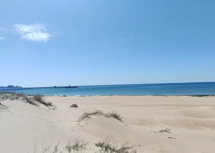VID_20250417_124900.mp4_snapshot_00.06.015