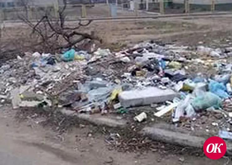 Мусор за ворота и — порядок?