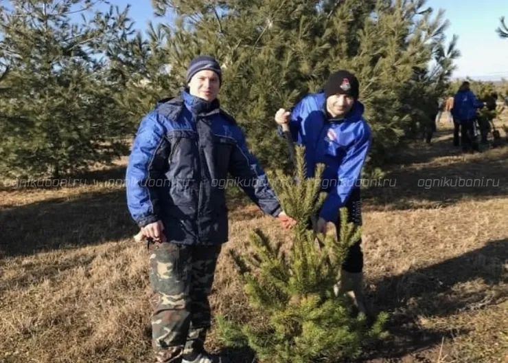 https://ognikubani.ru/wp-content/uploads/2020/02/image-04-02-20-01-42-6