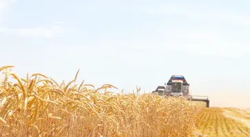 IMG_1616