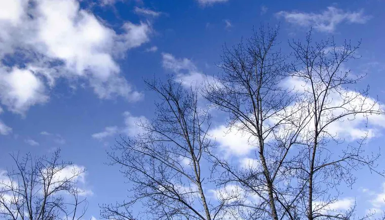 https://ognikubani.ru/wp-content/uploads/2021/03/hello_html_m71e0b460