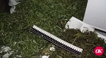 ИЗЪЯТЫ 2 КИЛОГРАММА МАРИХУАНЫ
