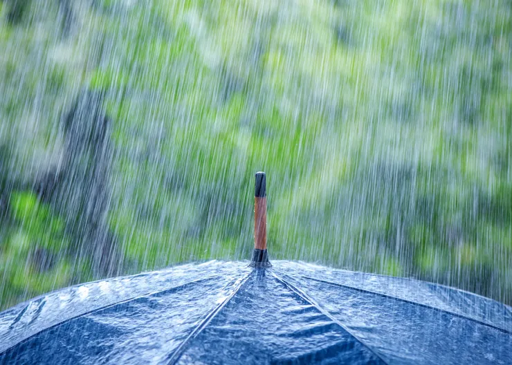 https://ognikubani.ru/wp-content/uploads/2020/07/Nature___Other_Rain_on_a_black_umbrella_107206_