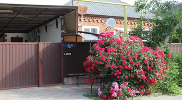 https://ognikubani.ru/wp-content/uploads/2022/06/IMG_5789_1
