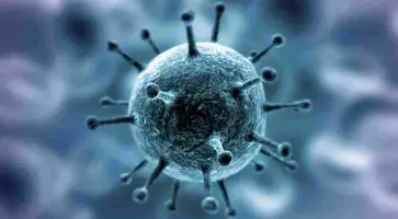 https://ognikubani.ru/wp-content/uploads/2020/04/koronavirus_2