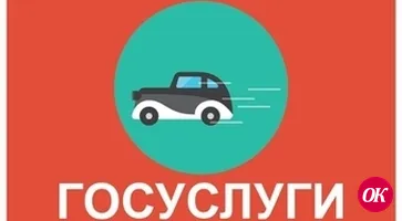 Что такое госуслуги в системе МВД РФ.