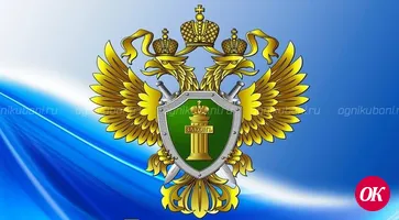 На транспорте все по закону