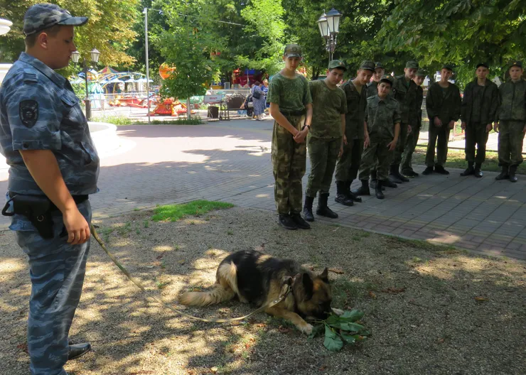 https://ognikubani.ru/wp-content/uploads/2023/07/Тайга-2